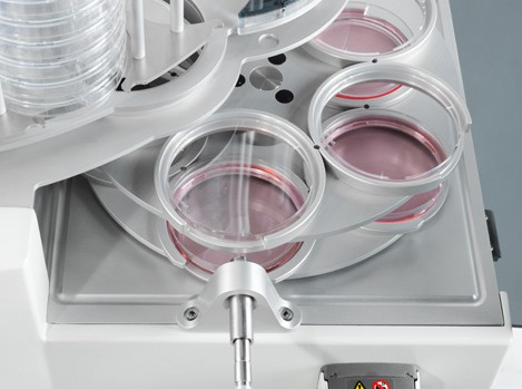 Systec Mediafill with Petri dishes