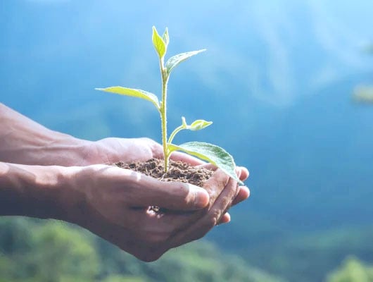 Systec Company: Being environmentally conscious